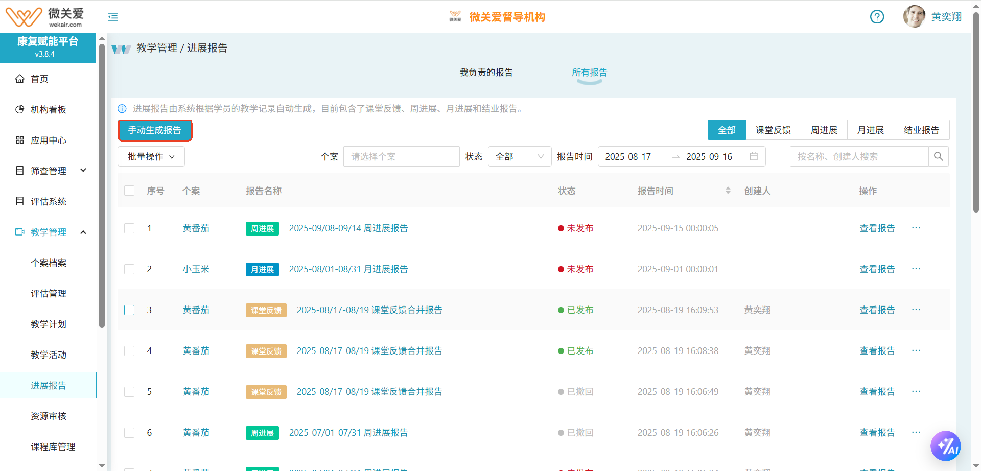 手动生成报告按钮